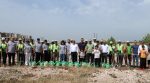 Rooting for the Future with 6,350 Saplings!